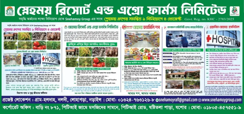 all project